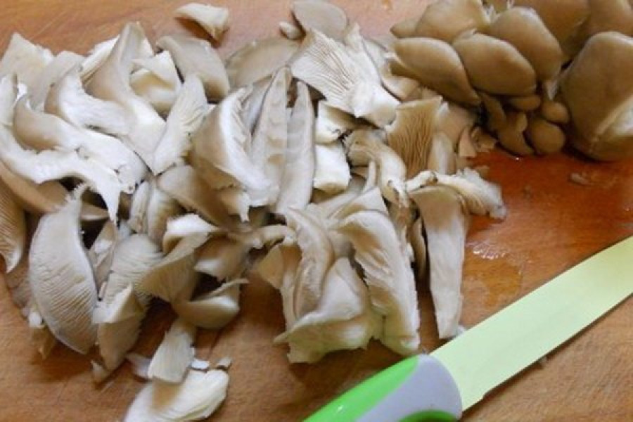 Жареные Грибы Вешенки Рецепт