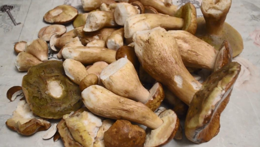 Консервирование грибов: на зиму, рецепты, в домашних условиях, в банки, фото и видео