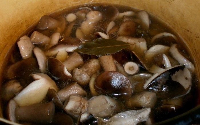 Квашеные грибы на зиму - базовый горячий рецепт » Сусеки