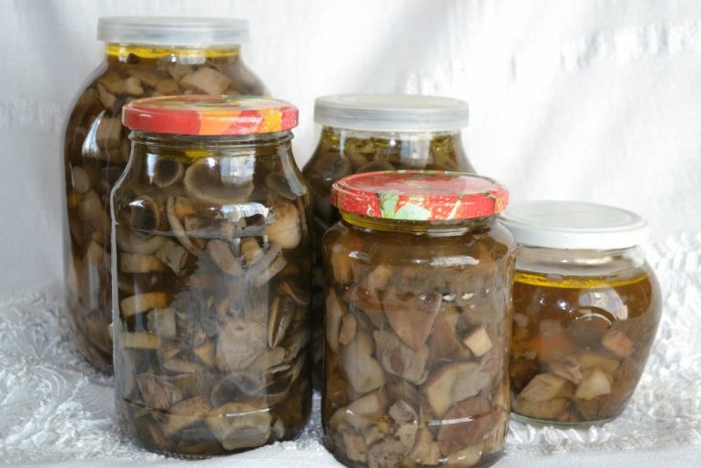 Как солить грибы в домашних условиях: пошаговые рецепты приготовления + фото