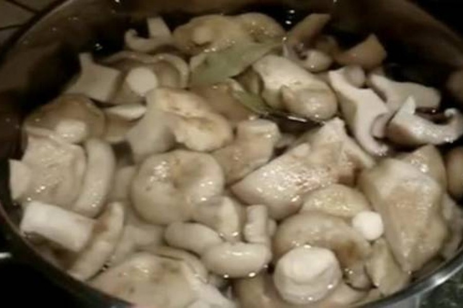 Засолка кулачков холодным способом. Рассол для засолки отварных груздей. Рецепт засолки горячим способом кулачков.