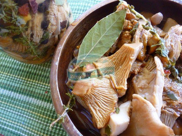Жареные грибы на зиму без стерилизации:рецепты заготовки