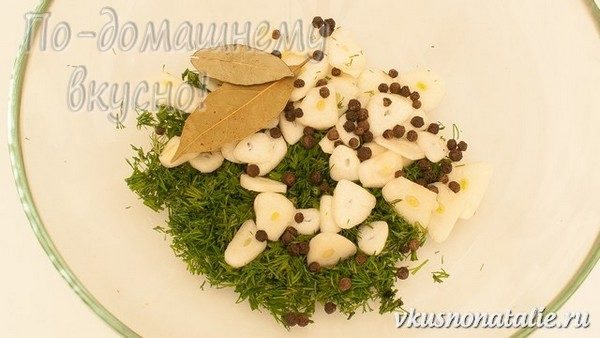 Зеленушка гриб приготовление соление- рецепт пошаговый с фото