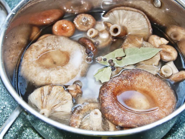 Как солить грибы: простой рецепт в банках на зиму, вкусное и быстрое приготовление в домашних условиях горячим и холодным способом, чтобы были хрустящими, фото и видео