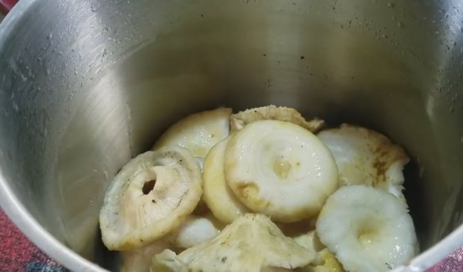 Приготовление груздей на зиму — рецепты соленых и маринованных груздей
