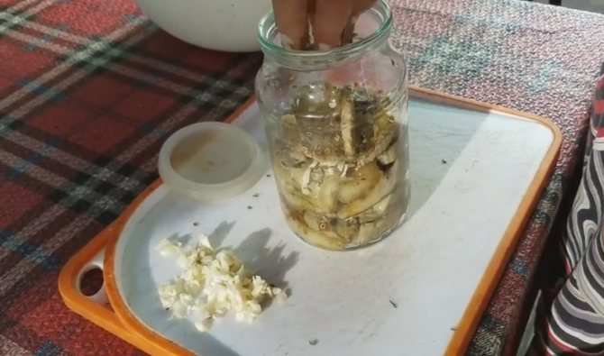 Приготовление груздей на зиму — рецепты соленых и маринованных груздей