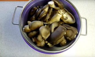 2 способа: как правильно заморозить грибы вешенки (свежие, сырые)