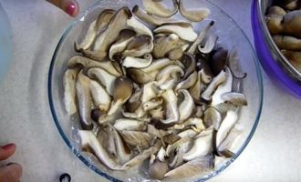 2 способа: как правильно заморозить грибы вешенки (свежие, сырые)