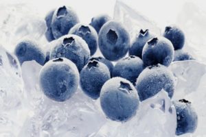 Как правильно заморозить чернику на зиму в домашних условиях в холодильнике