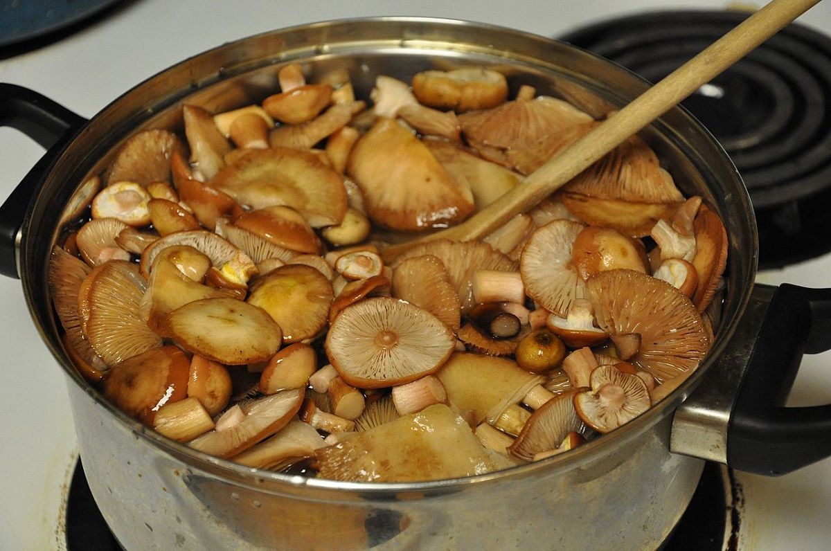 Как солить грибы на зиму в домашних условиях