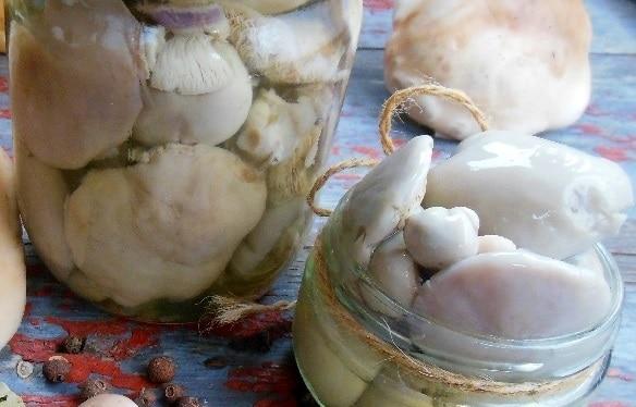 Как мариновать грибы синеножки в домашних условиях: сколько варить, рецепты, замариновать на зиму, как приготовить, видео