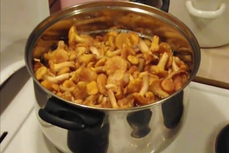 Как грибы лисички приготовить на зиму: способы заготовки и рецепты приготовления с фото