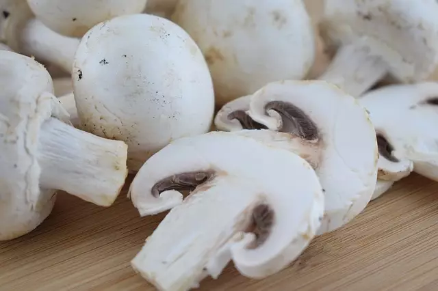 Как заморозить грибы и как приготовить замороженные грибы