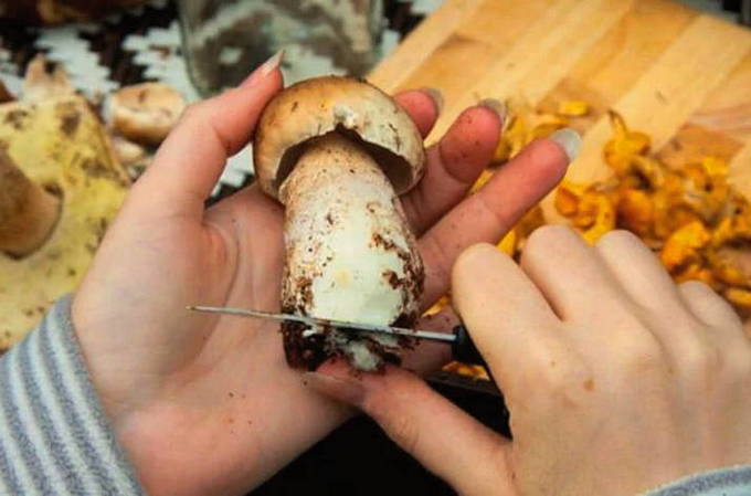 Маринованные белые грибы на зиму – 7 рецептов в банках с пошаговыми фото