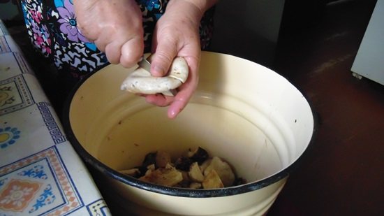Как солить грибы на зиму в банках: простые рецепты горячим и холодным способом