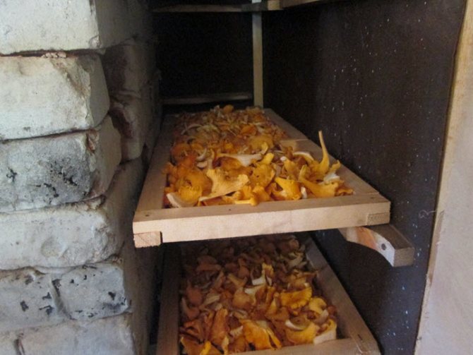Как сушить грибы в домашних условиях - сроки, условия и способы