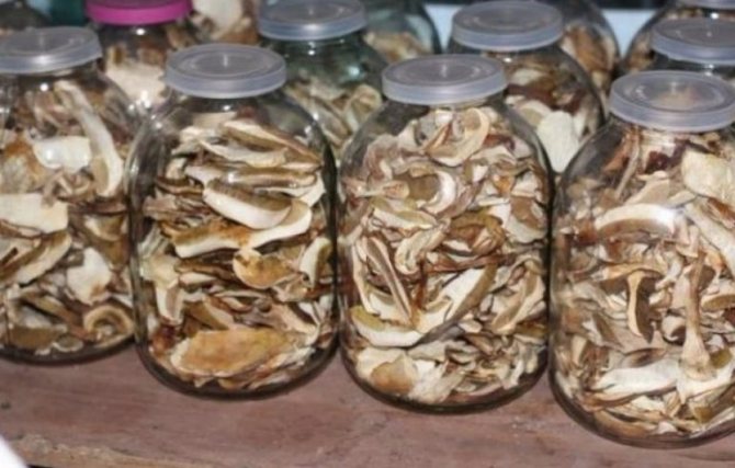 Как сушить грибы в домашних условиях