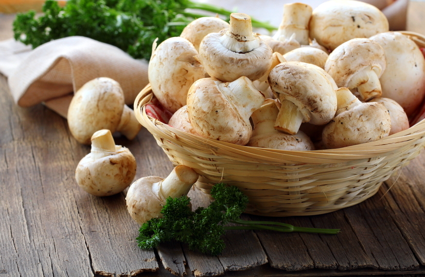 Сколько и как можно хранить шампиньоны в холодильнике: срок годности грибов в домашних условиях