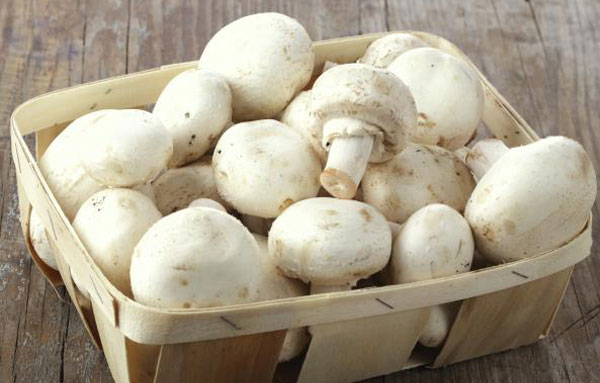 Сколько можно хранить маринованные грибы домашнего приготовления: способы, сроки и условия
сколько можно хранить маринованные грибы домашнего приготовления – мухомор.com
