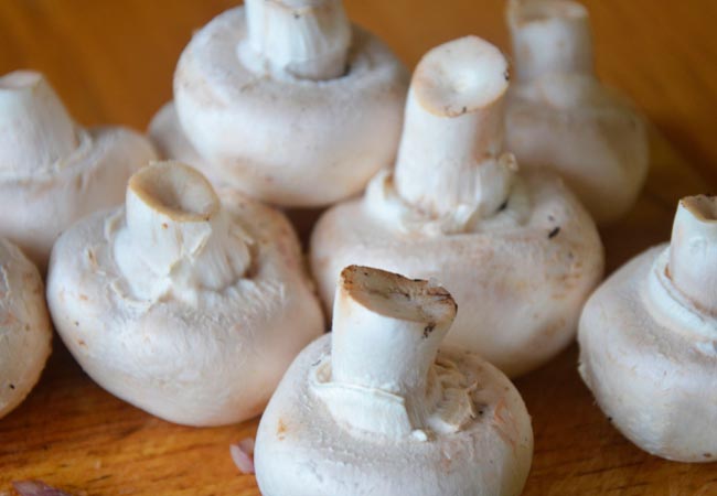 Сколько и как хранить белые грибы в холодильнике и без