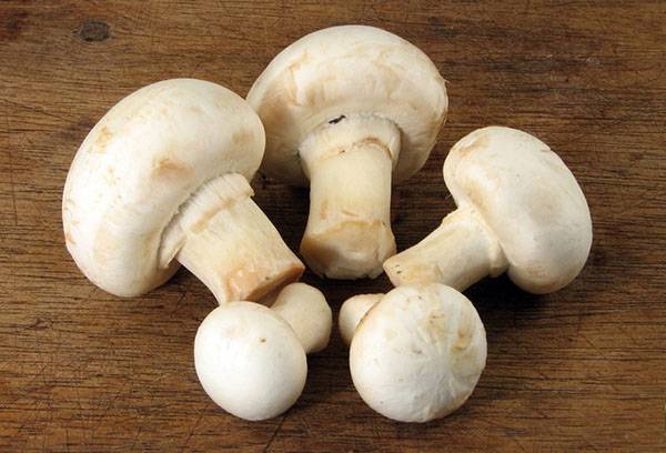 Сколько можно хранить шампиньоны в холодильнике — ягоды грибы