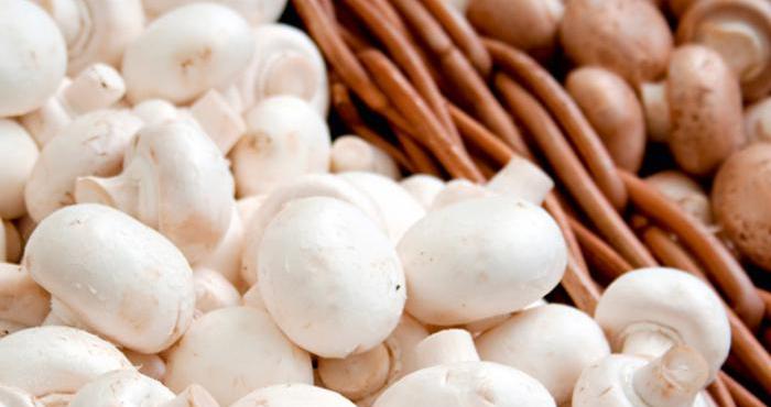 Сколько и как хранить свежие грибы в домашних условиях в холодильнике