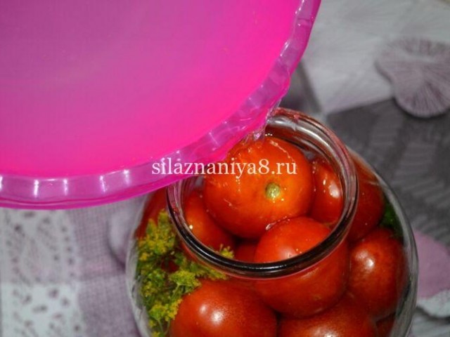 Маринованные помидоры без уксуса на зиму: 16 рецептов приготовления с фото