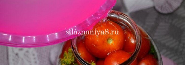 Маринованные помидоры без уксуса на зиму: 16 рецептов приготовления с фото