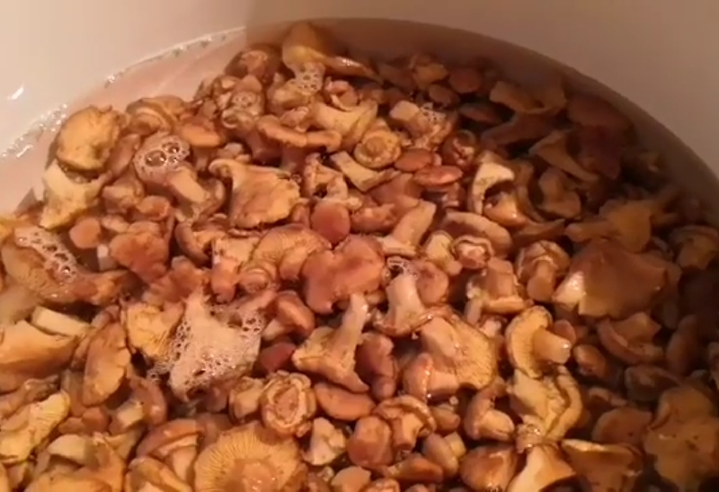 Маринад для лисичек: на 1 литр воды с уксусом, рецепты маринованных грибов на зиму в банках