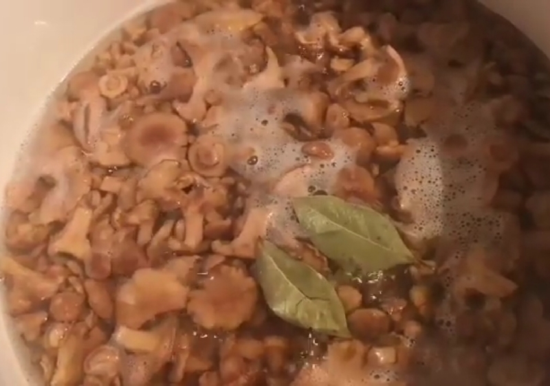 Маринад для лисичек: на 1 литр воды с уксусом, рецепты маринованных грибов на зиму в банках