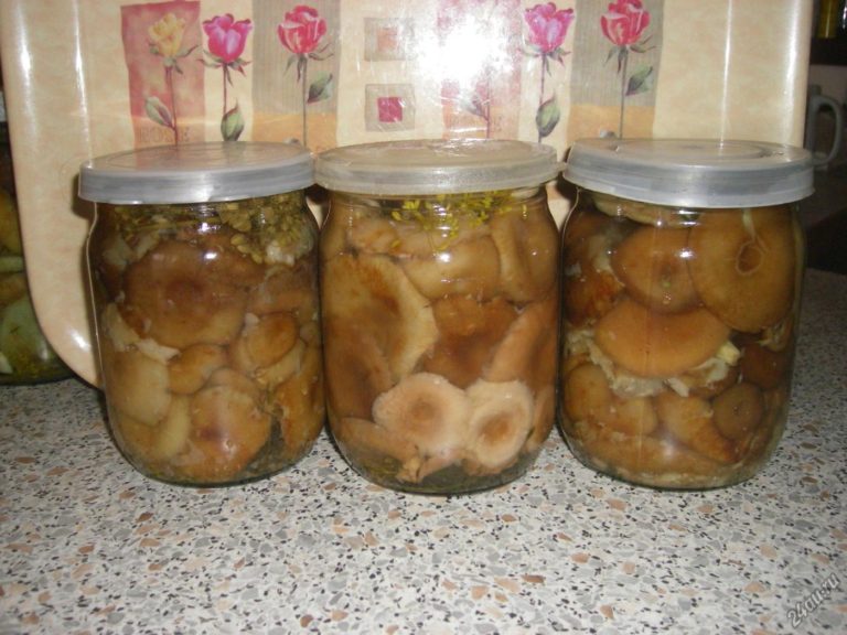 маринованные волнушки с уксусом и овощами на зиму