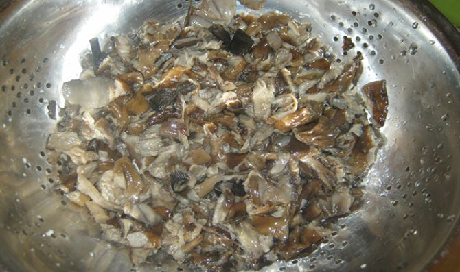 Рецепты маринованных белых груздей (с фото)