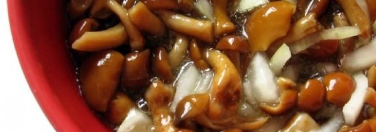 ✅ Можно ли замариновать замороженные грибы