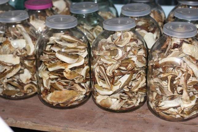 ✅ Можно ли замариновать замороженные грибы - усадьбанатали.рф