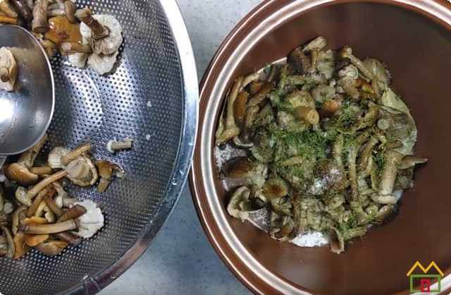 складываем грибы в посуду для соления