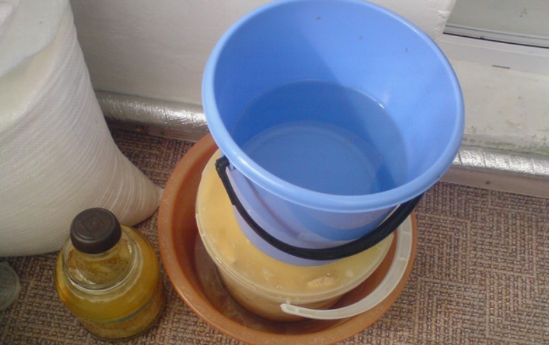 Как сделать рассол для соленых груздей на зиму: рецепты из расчета на 1 литр воды