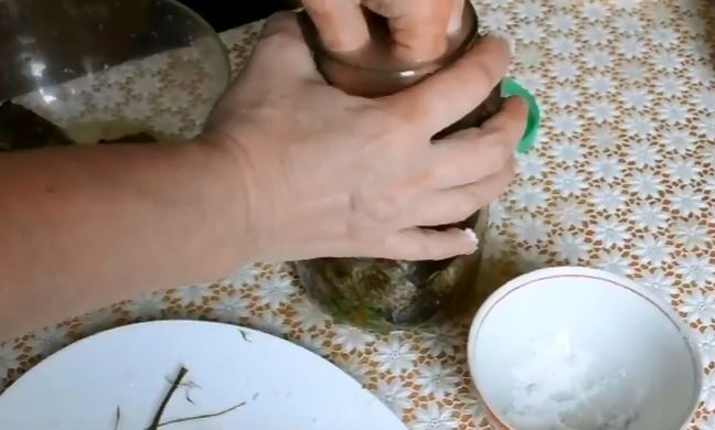Как сделать рассол для соленых груздей на зиму: рецепты из расчета на 1 литр воды