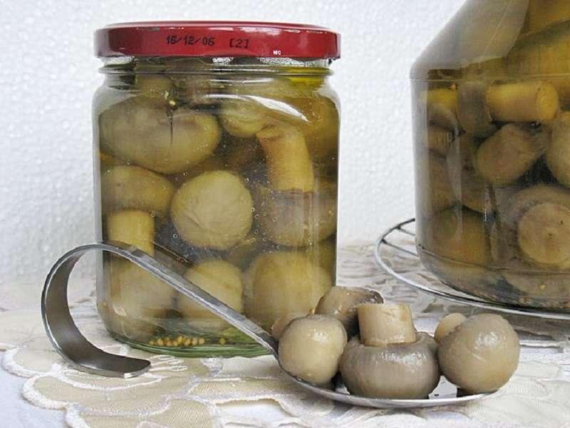 Где хранить и сколько соленые грибы после засолки, как хранить их в квартире?