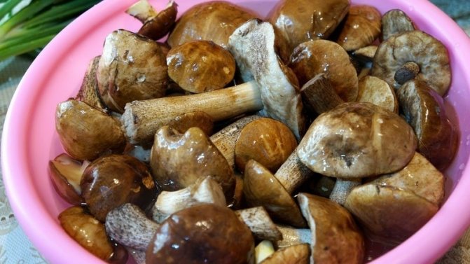 Сколько можно хранить замороженные грибы в морозилке