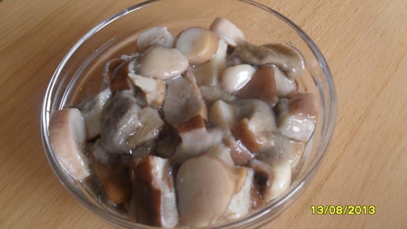 Перед заморозкой нужно. Вареные белые грибы. Готовая грибная заморозка. Грибы вареные замороженные. Замороженные грибы срок хранения в морозилке.