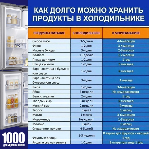 Сколько хранятся свежие шампиньоны в холодильнике: срок годности и условия хранения