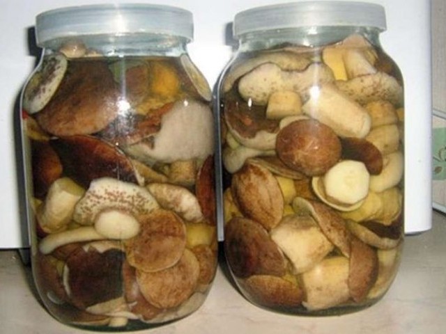 Как солить грибы: простой рецепт в банках на зиму, вкусное и быстрое приготовление в домашних условиях горячим и холодным способом, чтобы были хрустящими, фото и видео