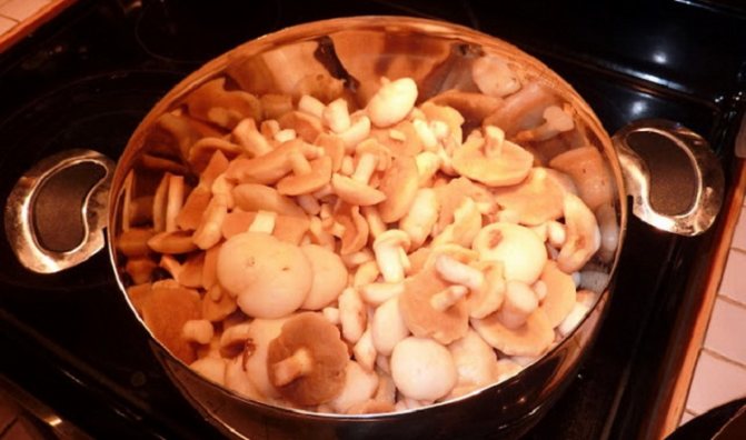 Вариации маринадов для подтопольников: как солить и мариновать грибы: 10 популярных рецептов