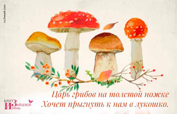 загадки про грибы с ответами
