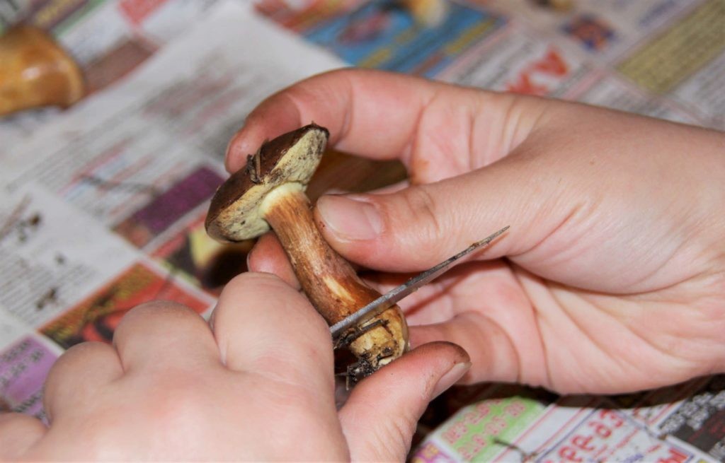 Потемнения на пальцах появляются уже после очистки первых грибов
