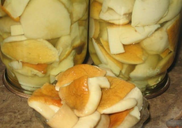 Полубелый гриб: где растет, как выглядит, съедобный или нет, как готовить и где собирать