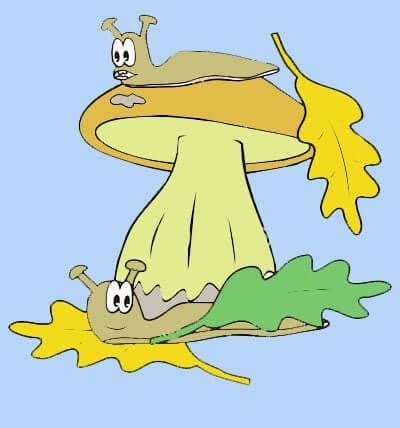Осенний гриб картинка