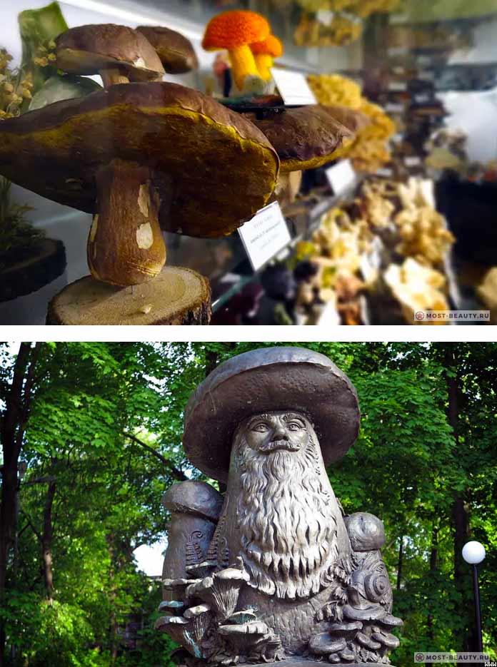 Музей и памятник грибу
