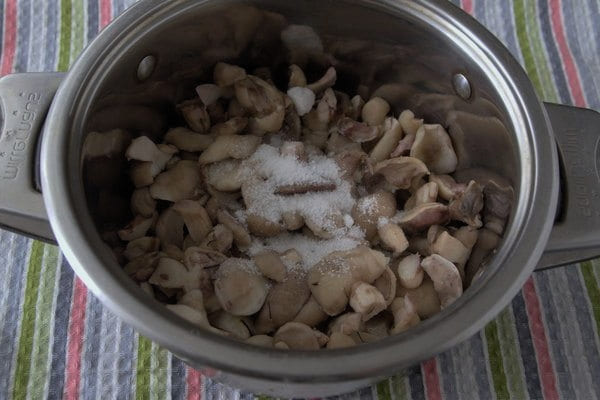 Маслята: как обработать грибы после сбора и приготовить их для жарки и заморозки на зиму