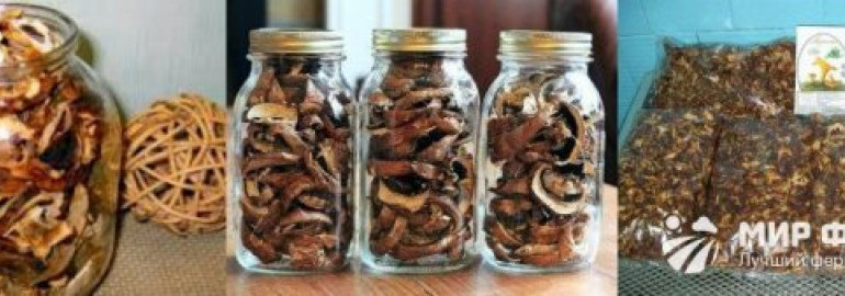 Как и сколько хранить сушеные грибы в домашних условиях: сроки хранения